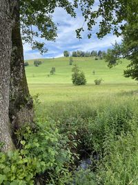 Scenic view of land against sky