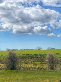 Scenic view of field against sky