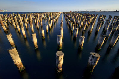 Row of wooden posts in sea