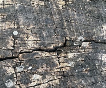 Full frame shot of weathered wall