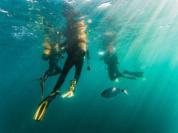 Cropped unrecognizable divers scuba diving in deep ocean