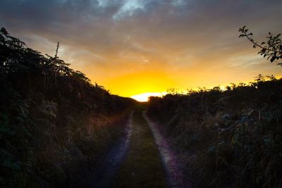 Scenic view of field against sky during sunset