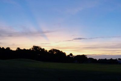 Silhouette trees on field against sky during sunset