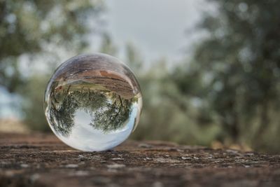 Close-up of crystal ball on glass