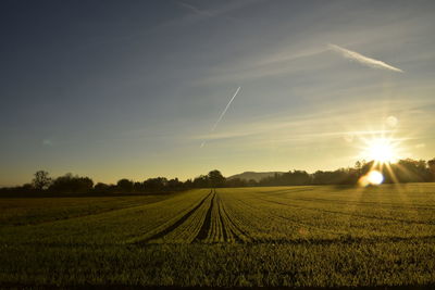 Scenic view of agricultural field against sky during sunset