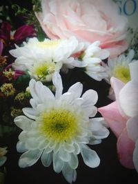 Close-up of flower bouquet