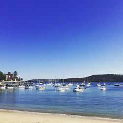 Sailboats moored in sea against clear blue sky