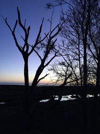 Silhouette of bare trees against sky