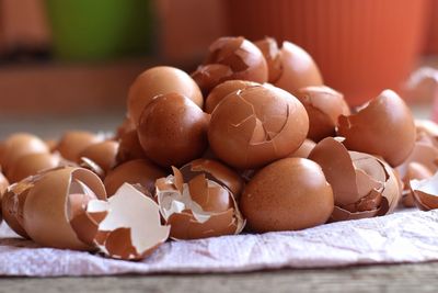 A collection of egg shells that are ready to be processed.