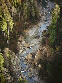 Stream flowing through rocks in forest