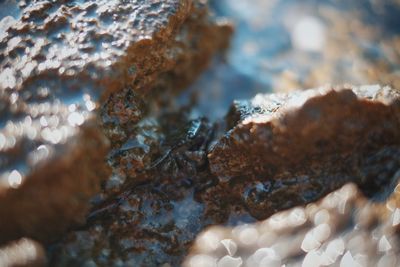 Close-up of rocks