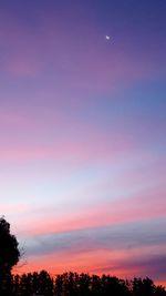 Low angle view of silhouette trees against sky at night