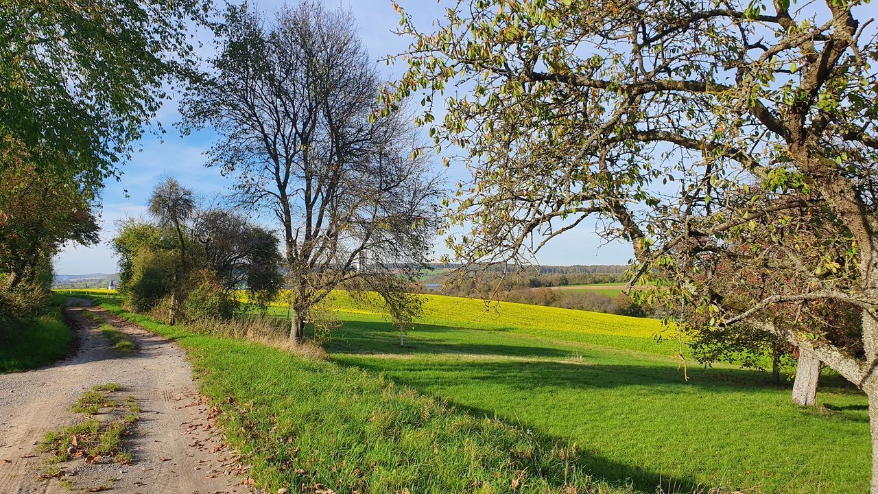 SCENIC VIEW OF LAND AGAINST SKY