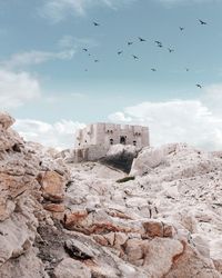 Birds flying over historic building against sky