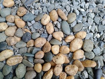 High angle view of stones