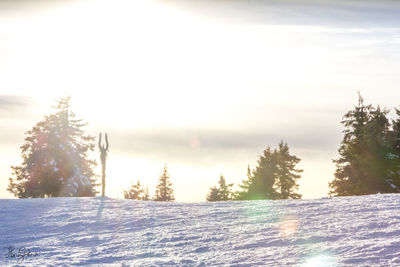 Trees on snow covered landscape against sky