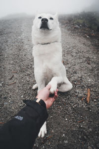 Man with dog