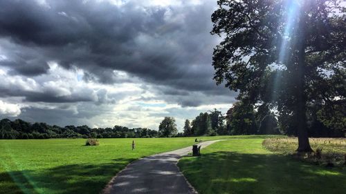 Road amidst trees on field against sky