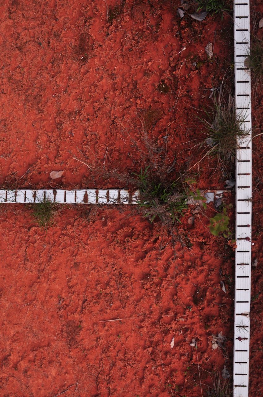 red, wall - building feature, built structure, architecture, brick wall, building exterior, wall, railing, day, plant, outdoors, growth, no people, metal, high angle view, safety, leaf, sidewalk, sunlight, protection