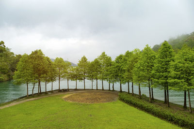 Trees by lake against sky