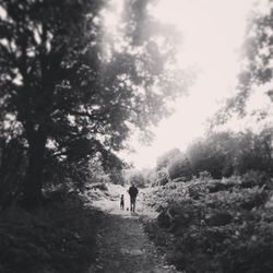 Full length of woman walking on road