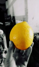 Close-up of yellow lemon