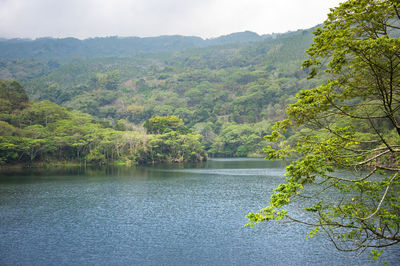 Scenic view of lake by trees against sky