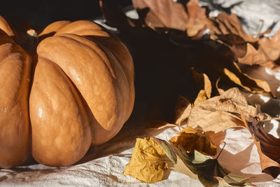 Close-up of dried leaves on table