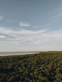 Scenic view of field against sky