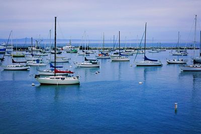 Boats in harbor