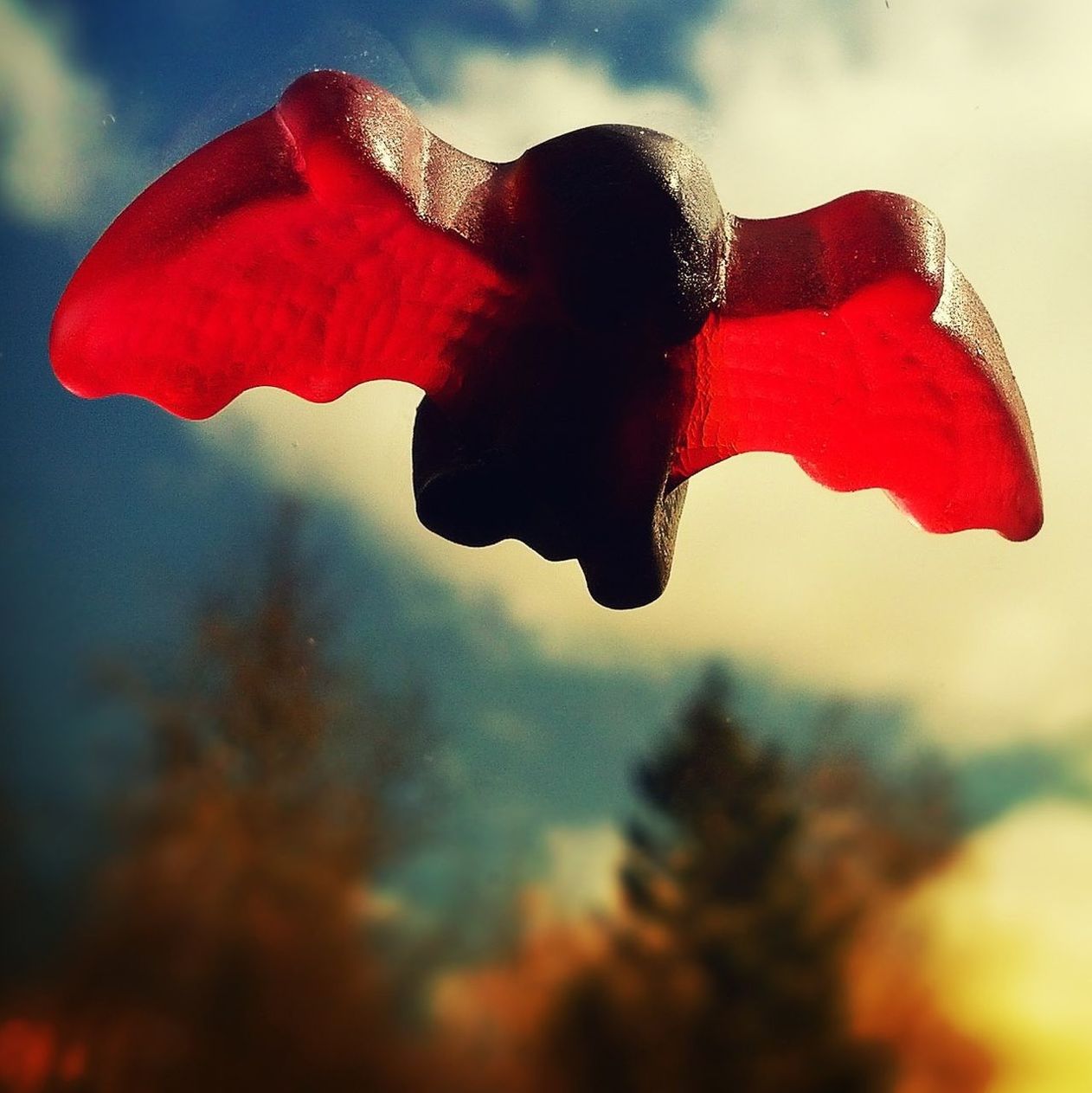 sky, red, focus on foreground, close-up, cloud - sky, nature, low angle view, beauty in nature, outdoors, day, selective focus, flower, fragility, cloud, weather, petal, tranquility, no people, season, growth