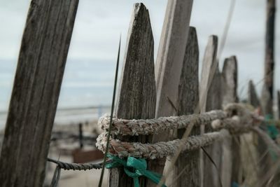 Close-up of rope tied to wooden post