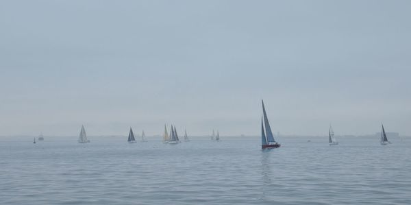 Sailboat in sea