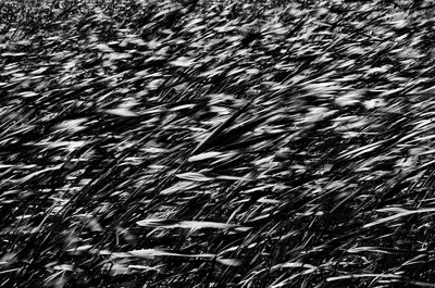 Full frame shot of snow covered field