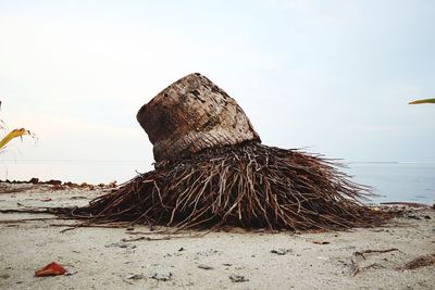 Rocks on beach against clear sky