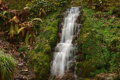 Scenic view of waterfall