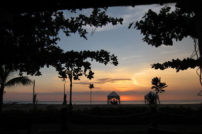 Silhouette of trees at sunset