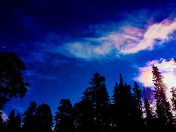 Low angle view of silhouette trees against sky at night