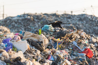 Close-up of birds on garbage