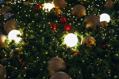 Close-up of illuminated christmas tree