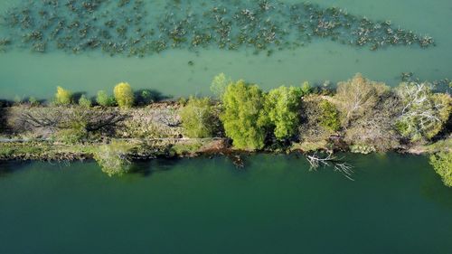 Beautiful lake 