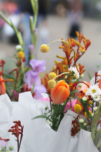 Close-up of flowering plant