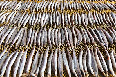 Full frame shot of fish for sale in market