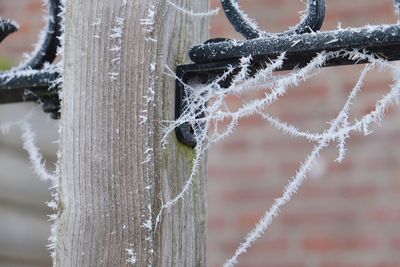 Close-up of snow