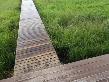 High angle view of boardwalk amidst plants on field