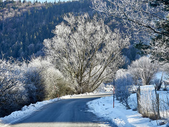 Snow covered road amidst trees on field