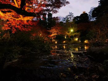 Illuminated trees by river against sky at night