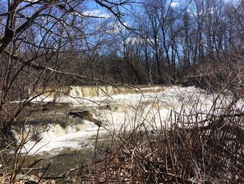 Bare trees in river against sky