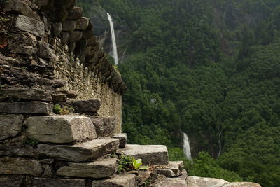 View of waterfall in forest