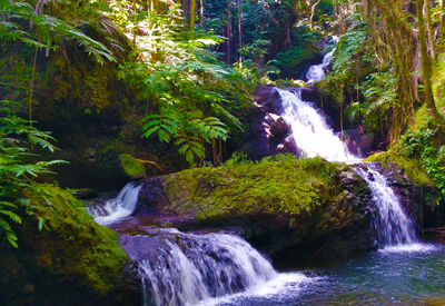 View of waterfall in forest
